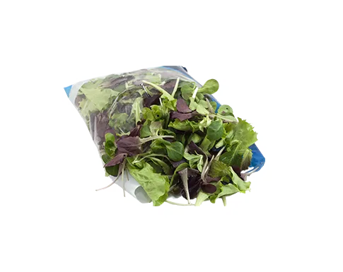 4e gamma de winne 4e gamma de winne