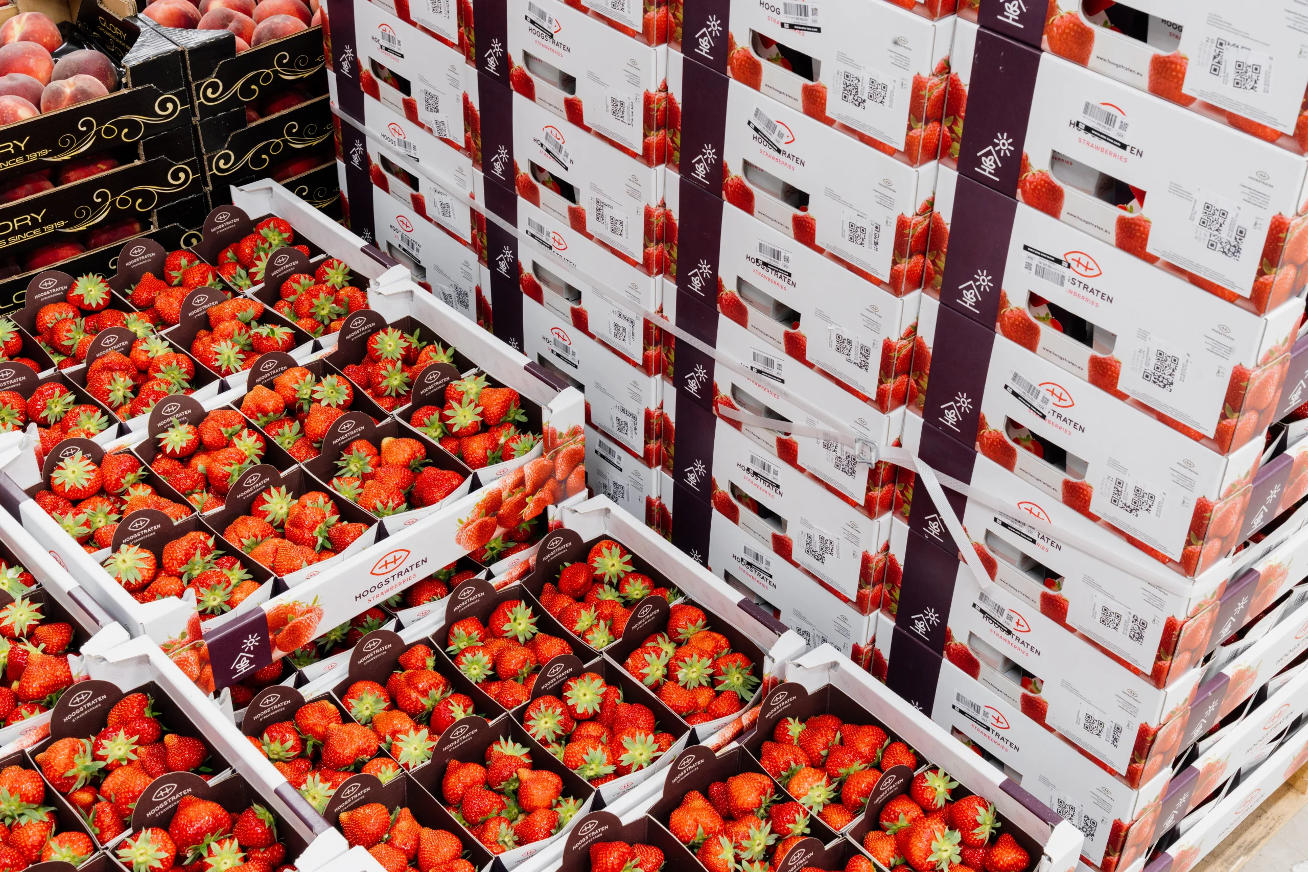 Hoogstraten aardbeien Hoogstraten aardbeien