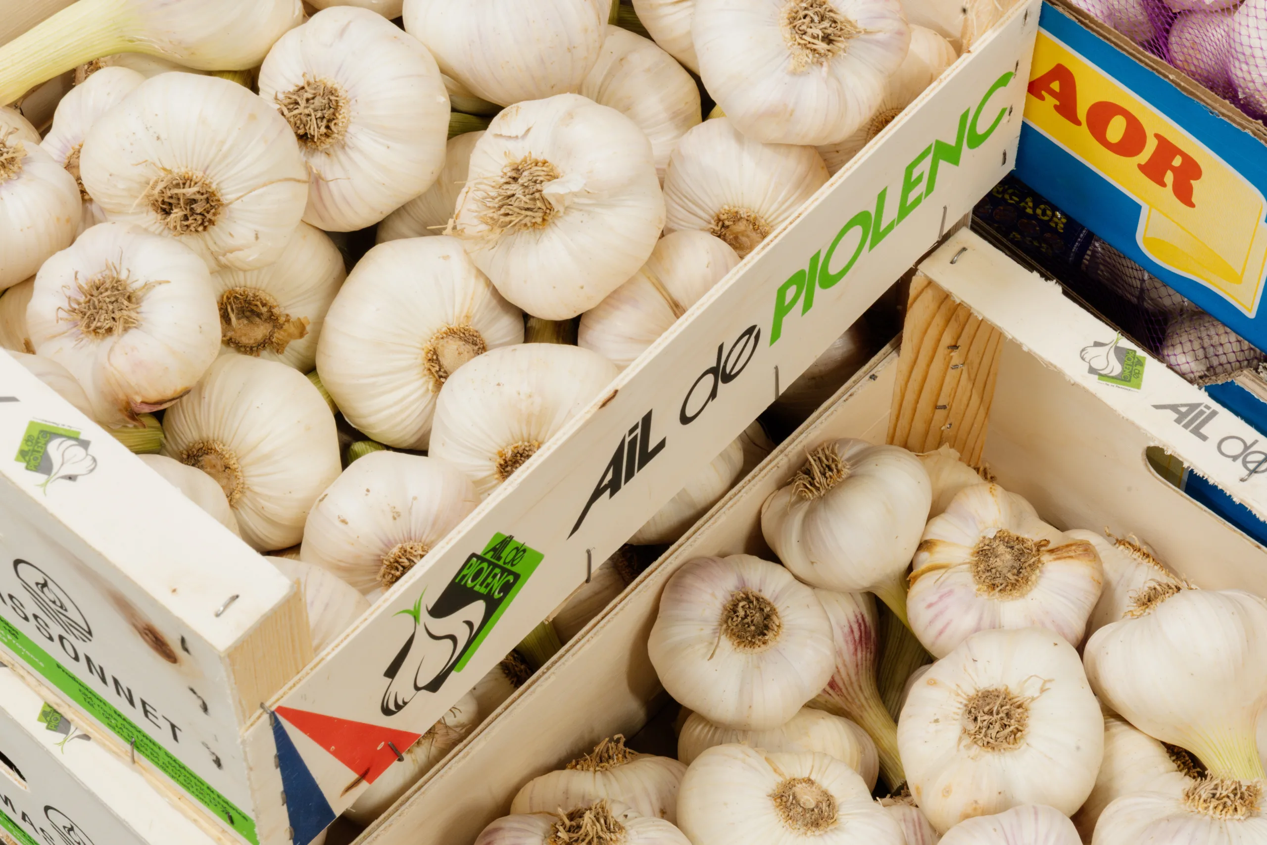 De Winne De Winne look