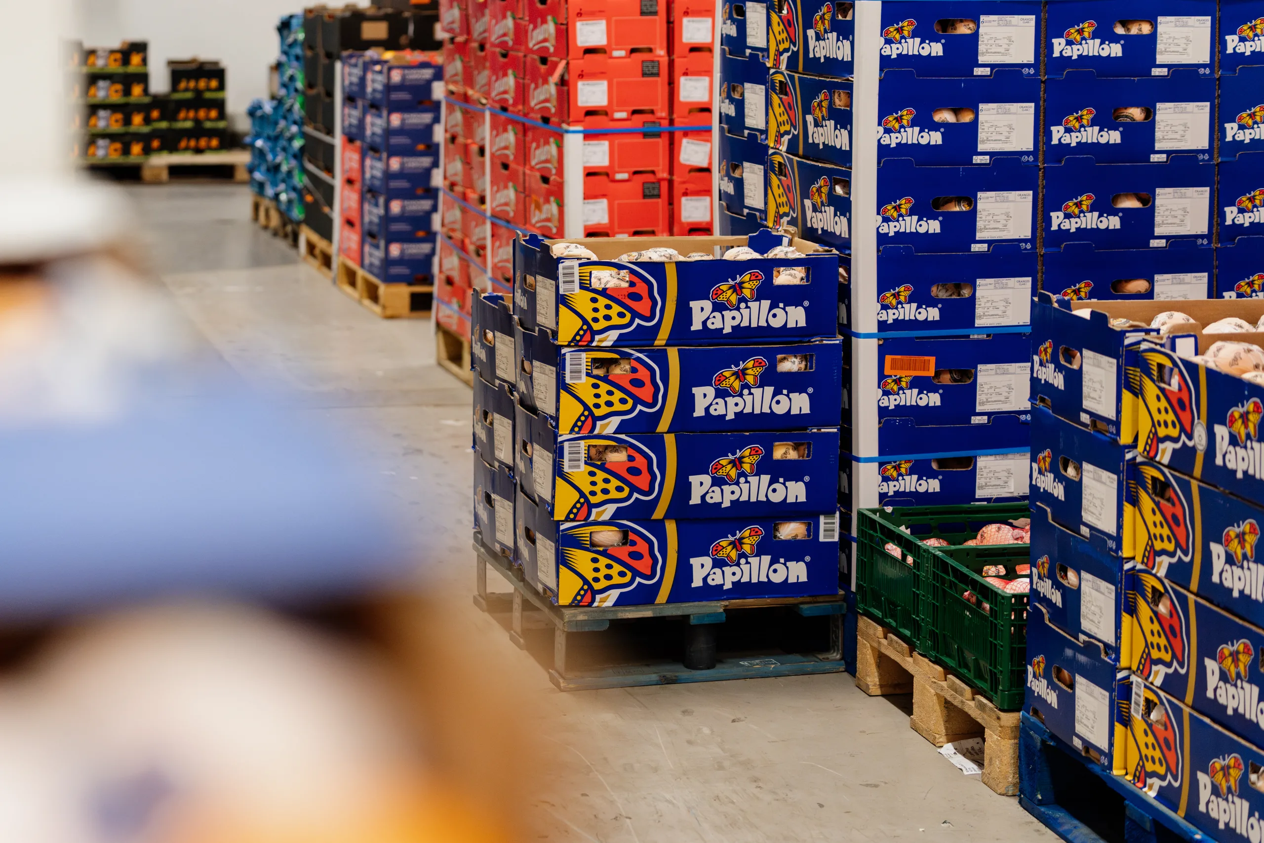 De Winne fruit Supermarkt fruit